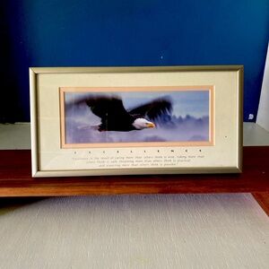Vintage Lifescapes Lithograph framed bald eagle photograph Excellance